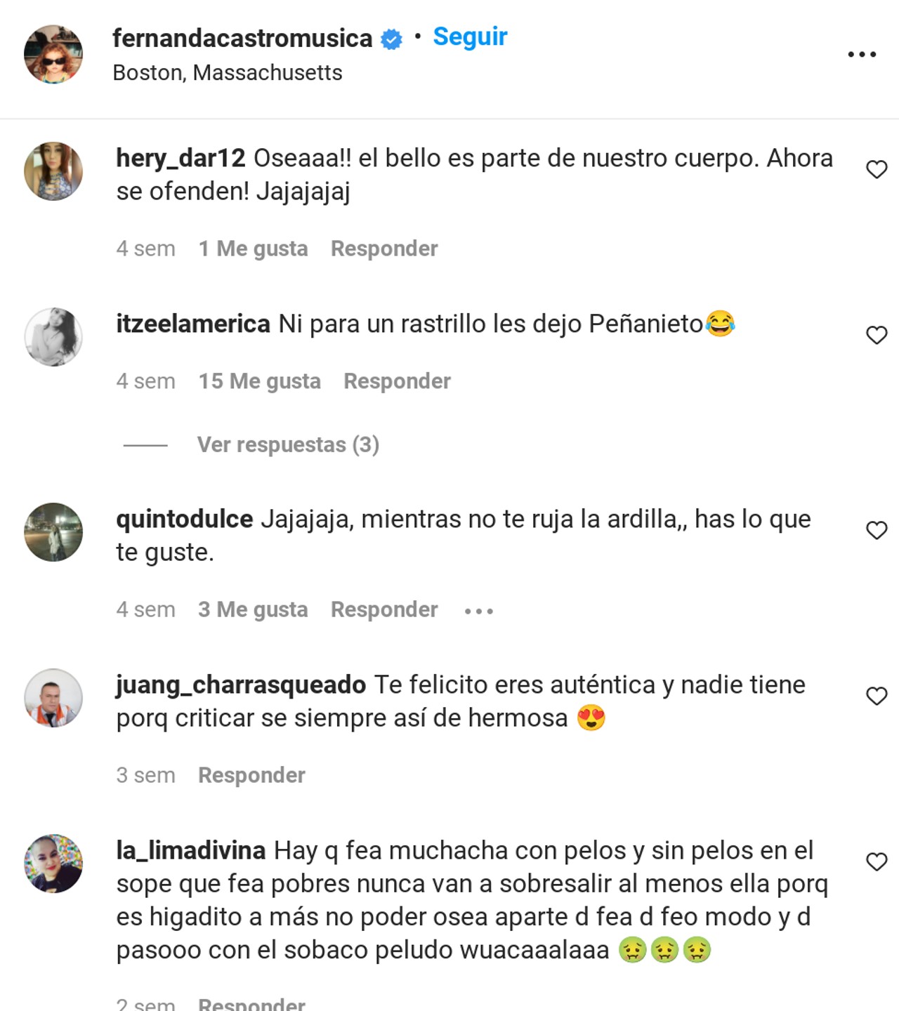 criticas fernanda castro vellos
