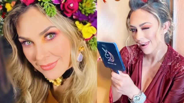 aracely arambula hijos fiesta presume redes sociales