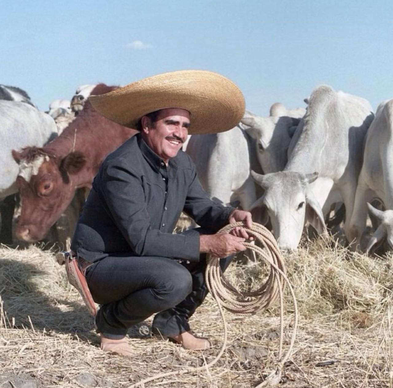 vicente fernandez no reconocido hijo