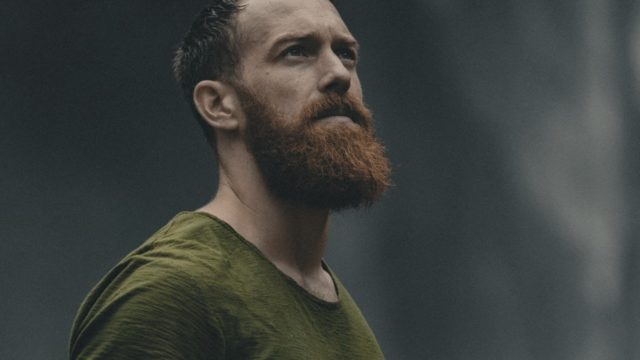 Hormonas sexuales masculinas cuÃ¡les son
