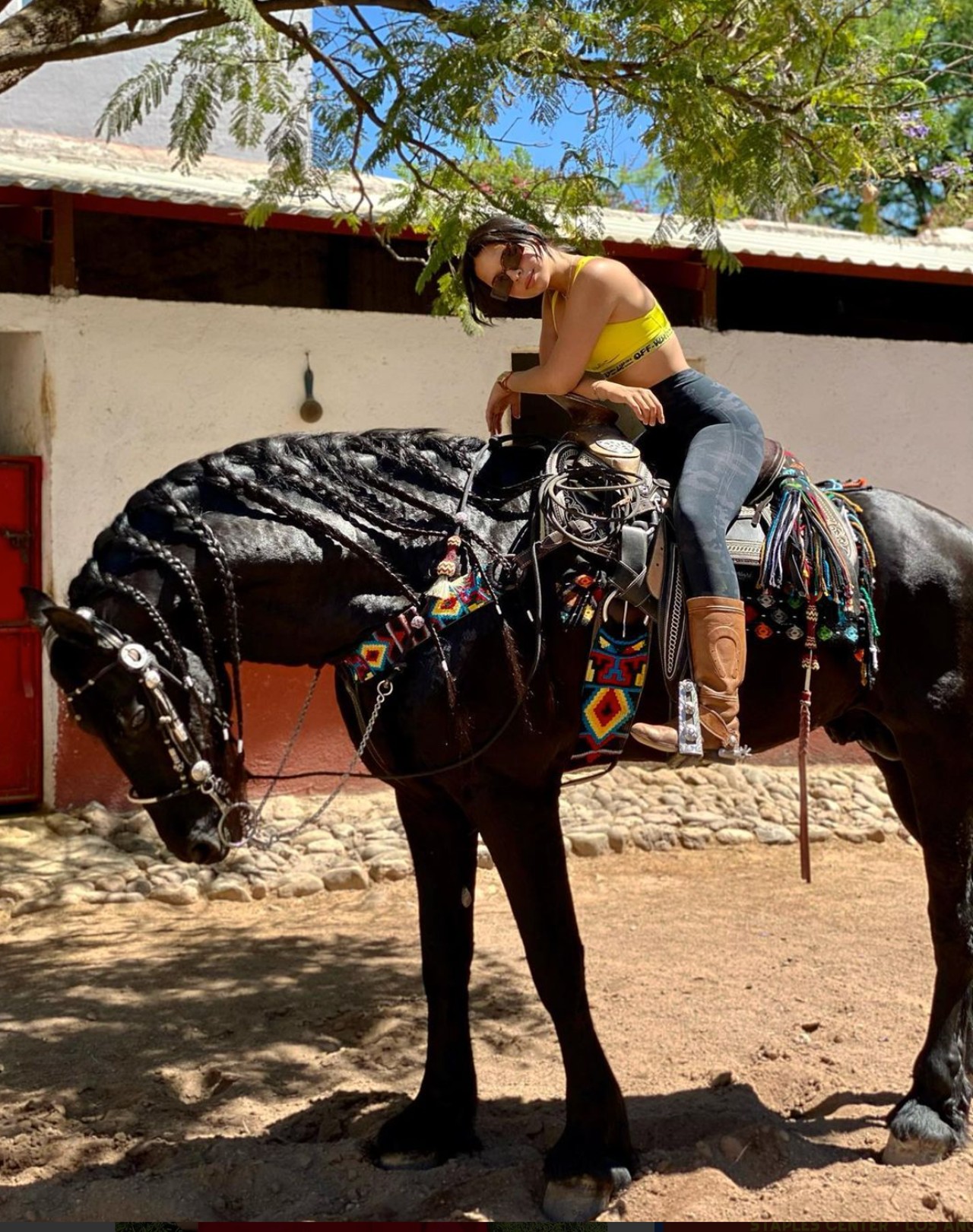 troyano angela aguilar caballo