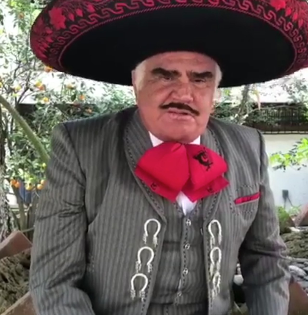 vicente fernandez deconectado