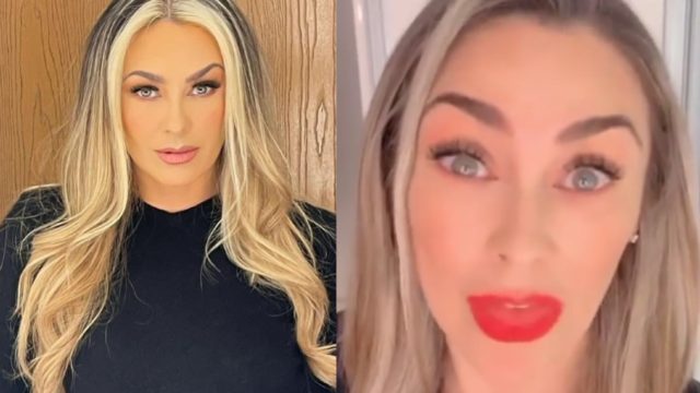 destacada aracely arambula luis miguel