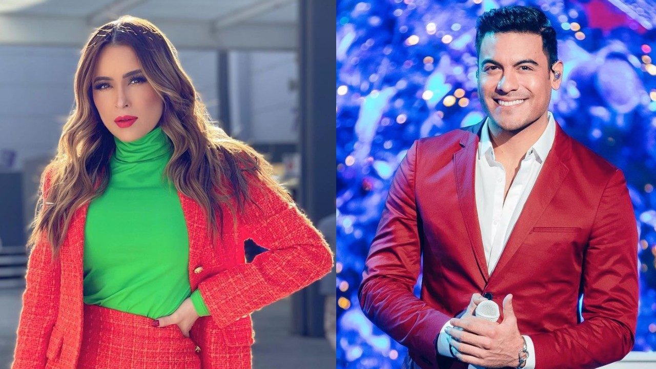 carlos rivera cynthia rodrigues palaya enamorados