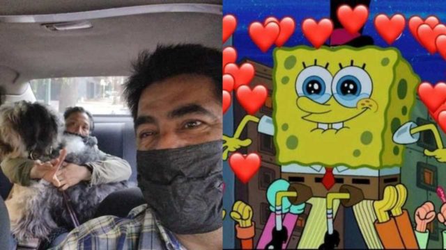 perritos taxista