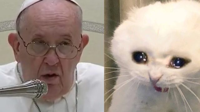 destcada papa francisco contra perros gatos