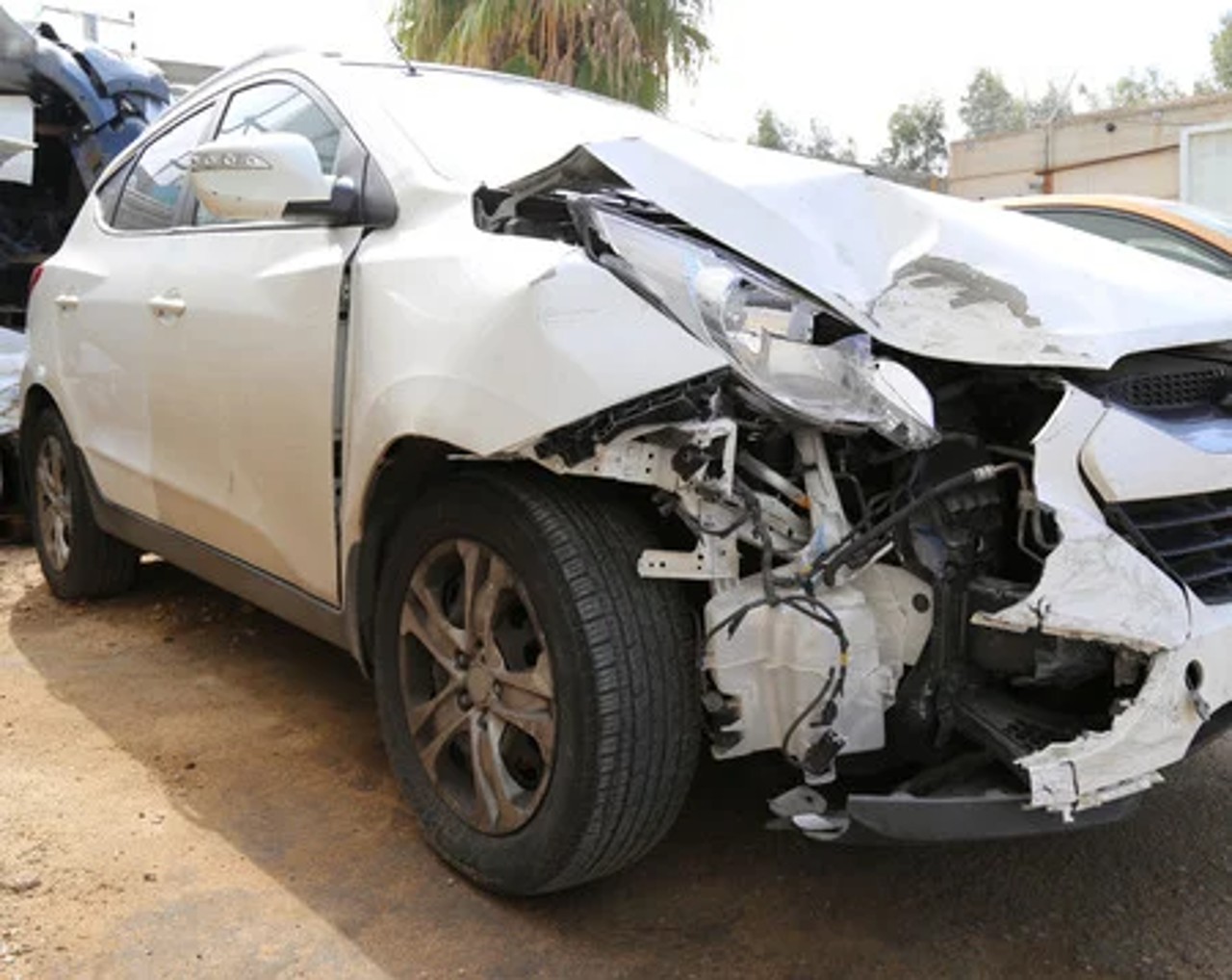 foro ejemplo señora accidente hijo brindar