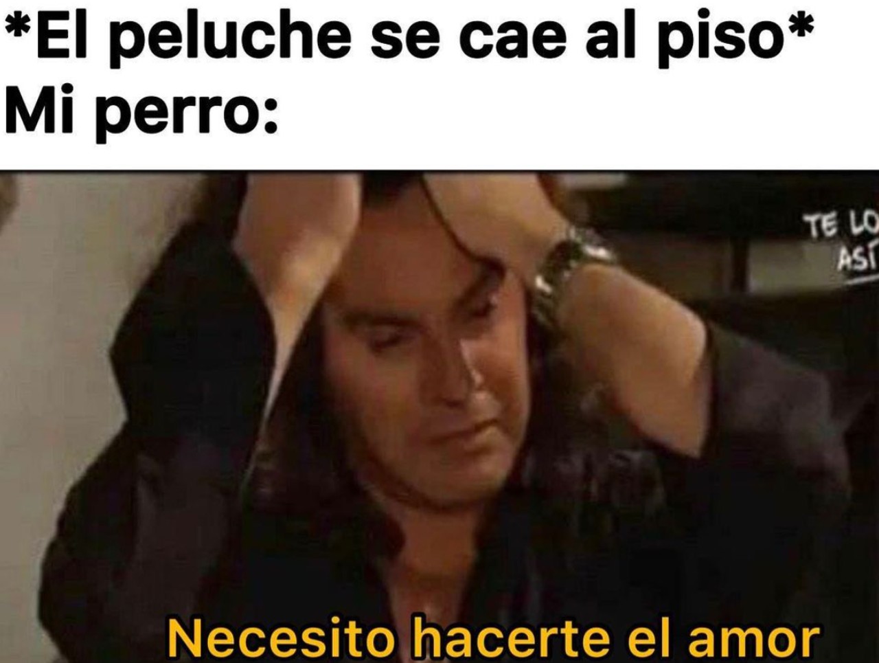 perro necesito meme laport