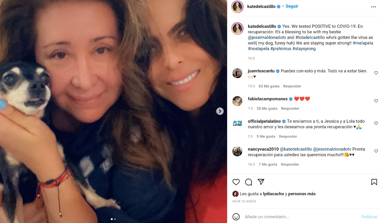Contagio covid 19 perrito kate del castillo