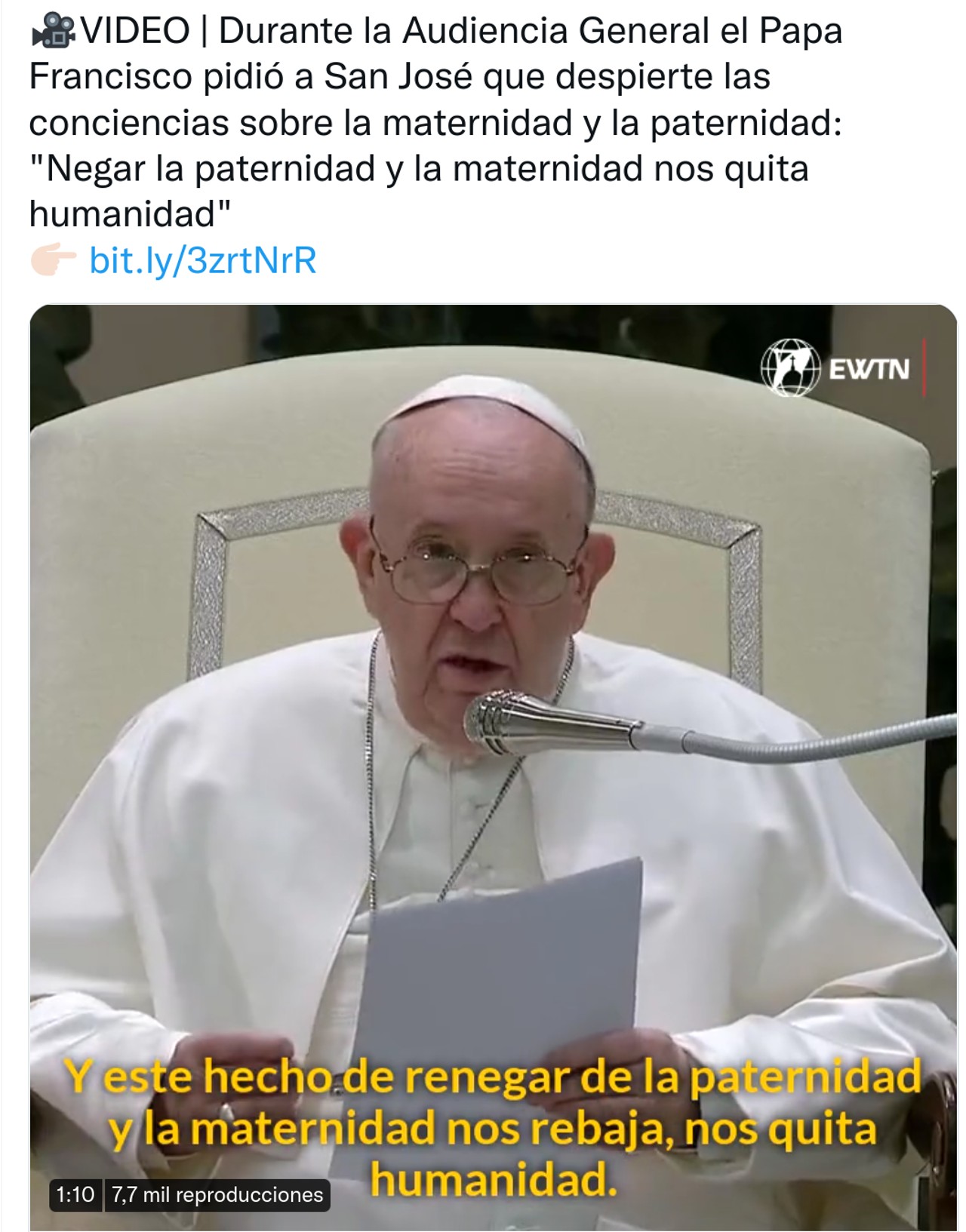 papa francisco audiencia gatos perros