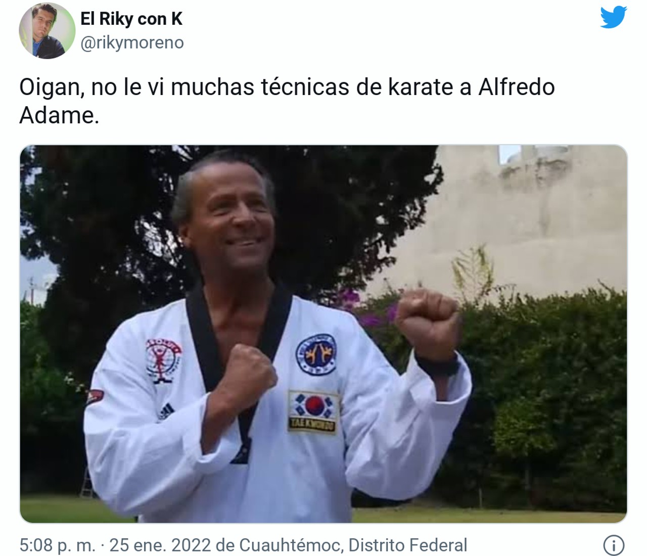 alfredo adame memes pelea cinta negra