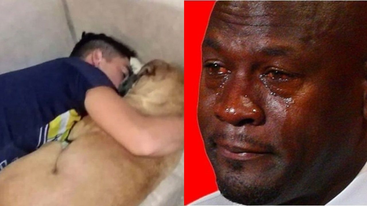 Perrita muere fuegos artificiales brazos dueno