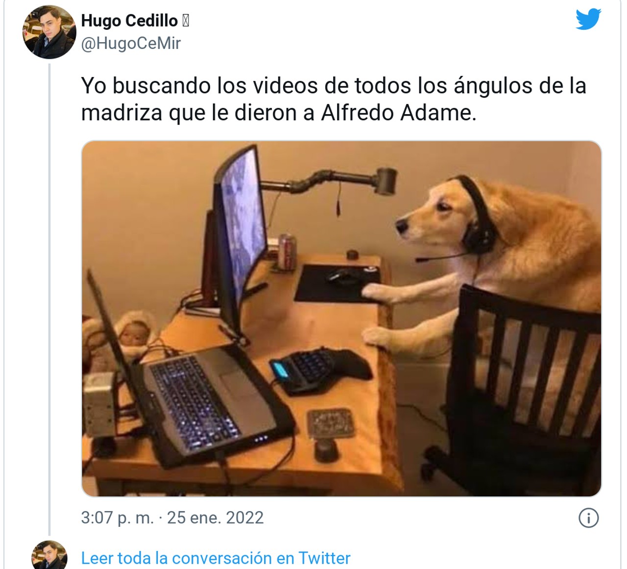 alfredo adame memes pelea perritos