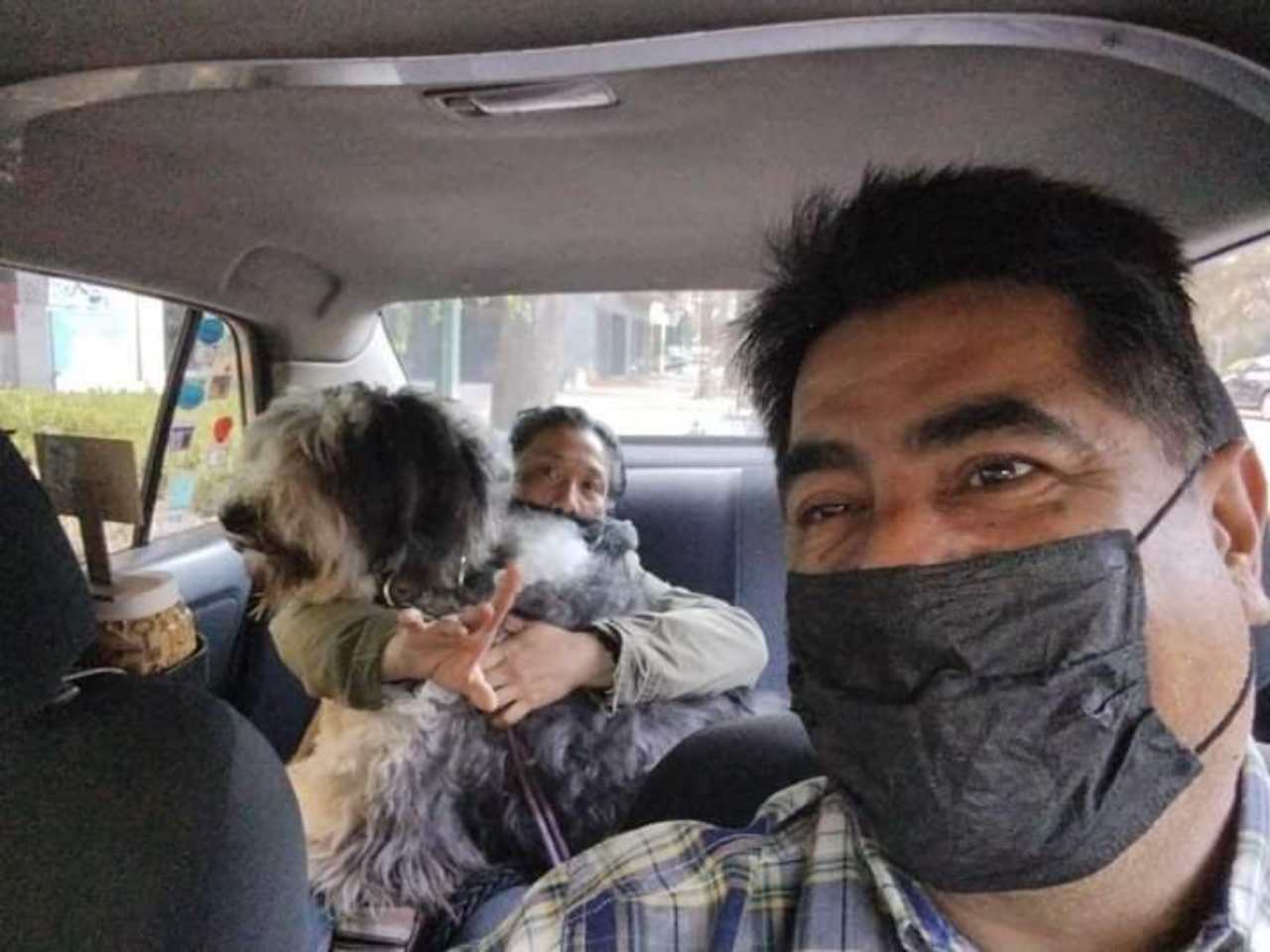 taxi perro