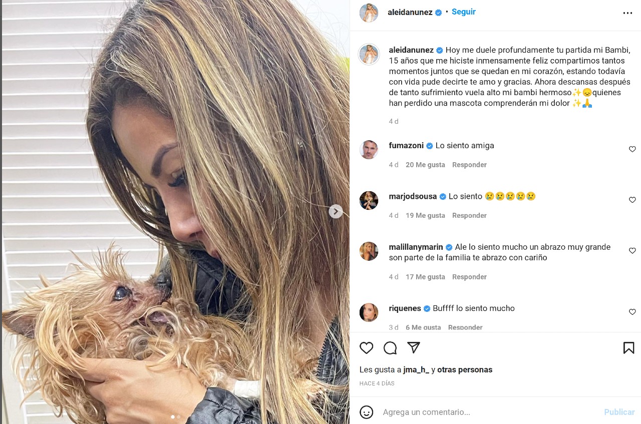 aleida nuñez bambi perrito triste novio