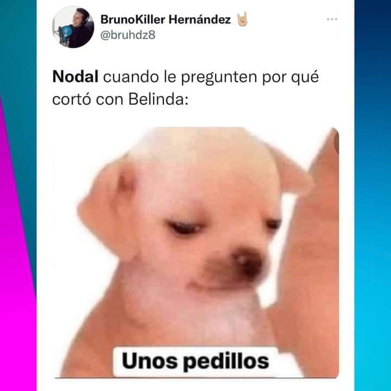 belinda nodal memes ruptura perrito
