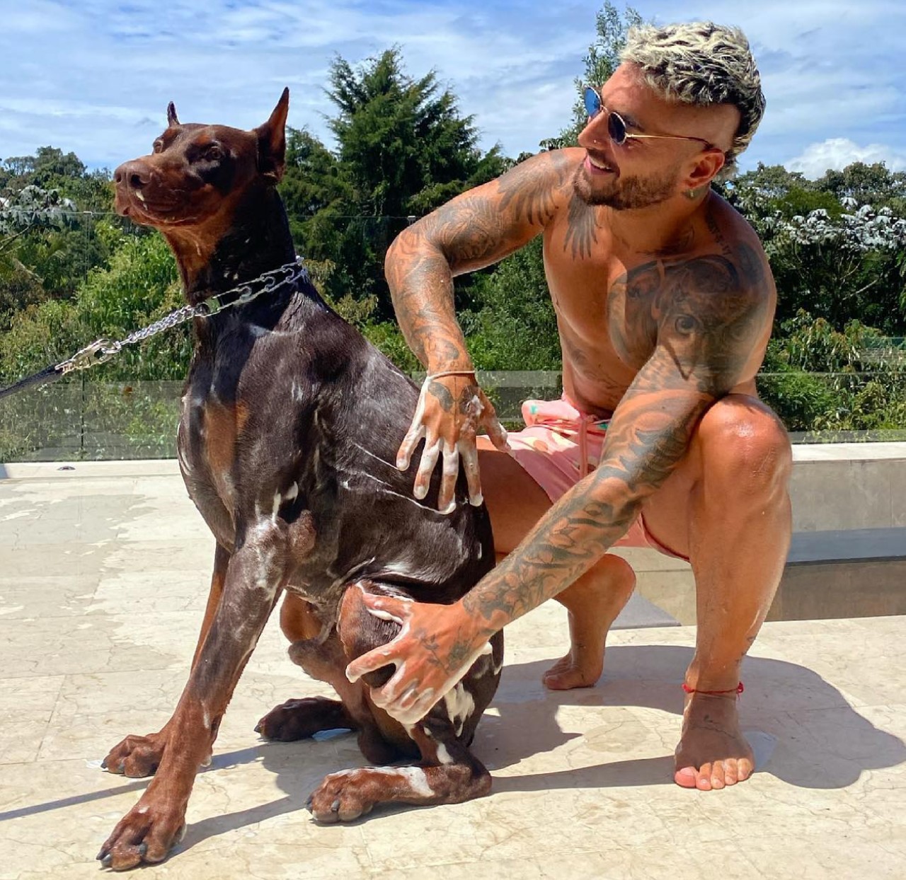 perro maluma mordida cara