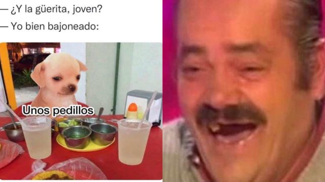 memes perrito