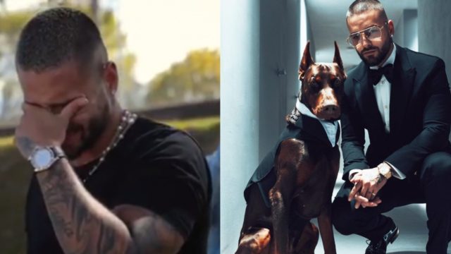 maluma mordida perro doberman rostro
