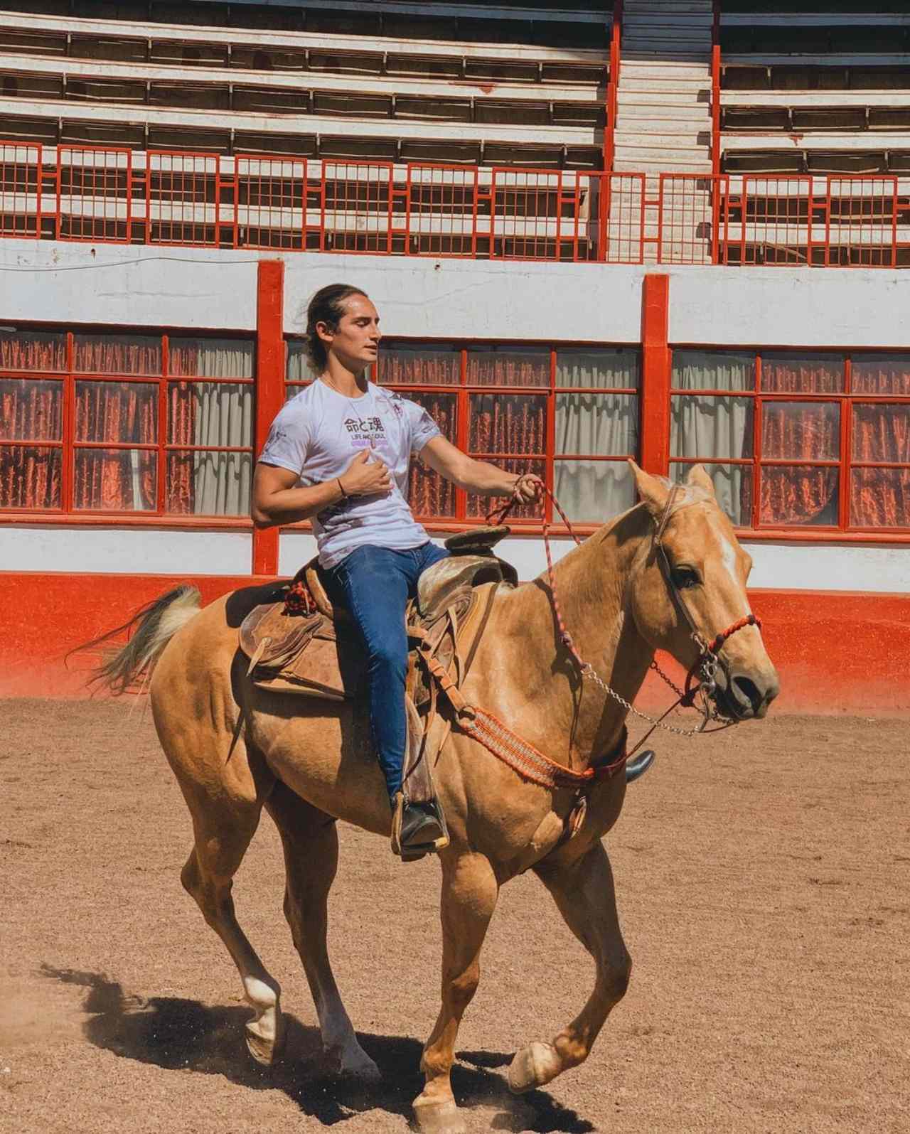 Emilio Osorio Alejandro Fernandez serie papa