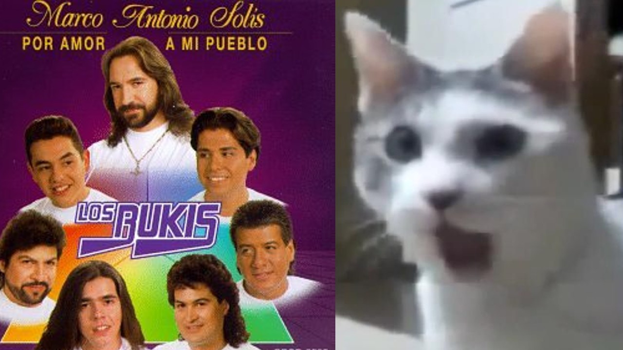 los bukis gira concierto mexico