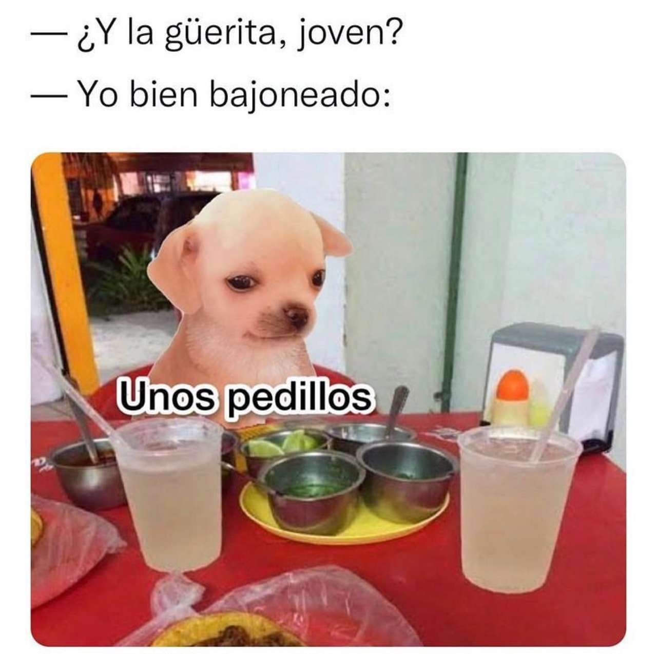 memes, pedillos