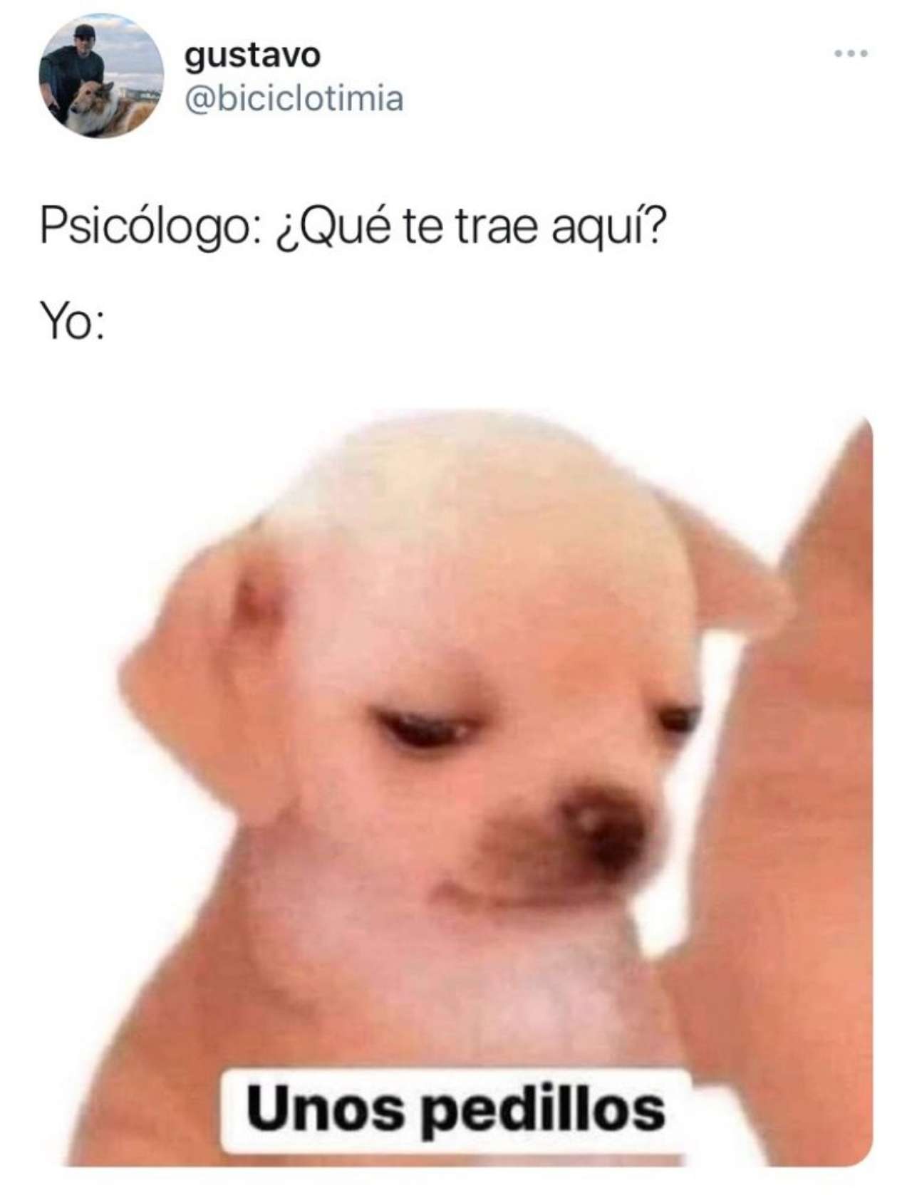 psicologo meme pedillos