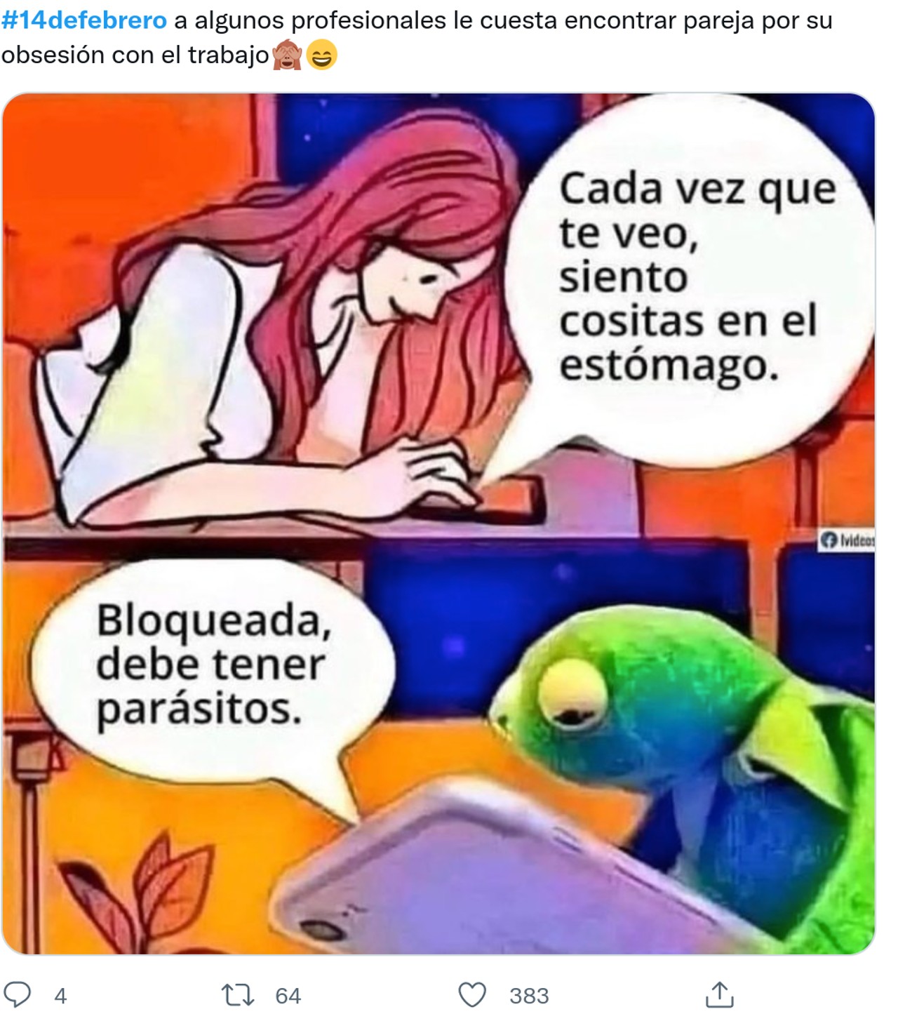memes 14 febrero parasitos