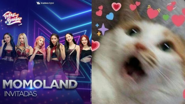 tv azteca momoland final todos a bailar