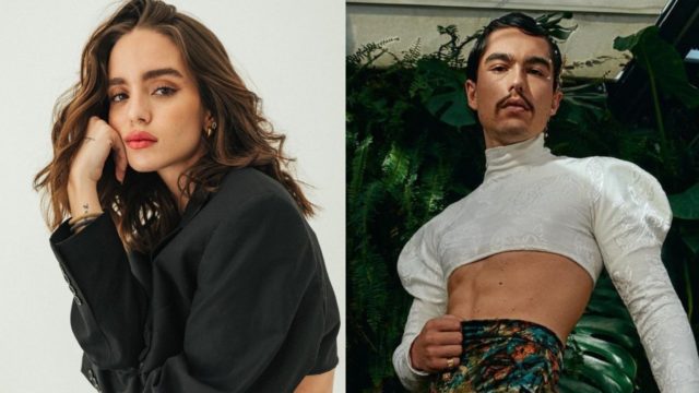 Sergio Mayer Mori usa crop top