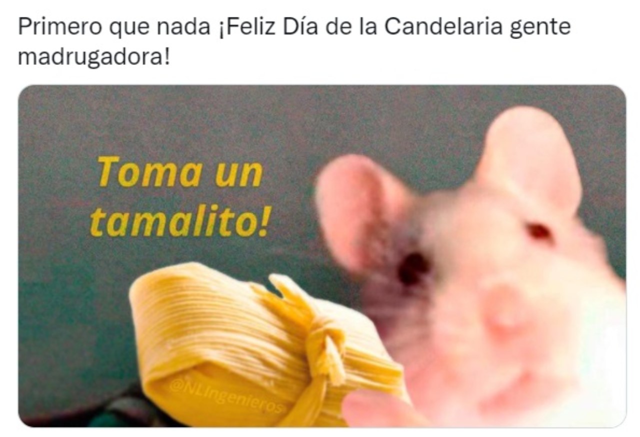 Memes toma tu tamalito gente madrugadora