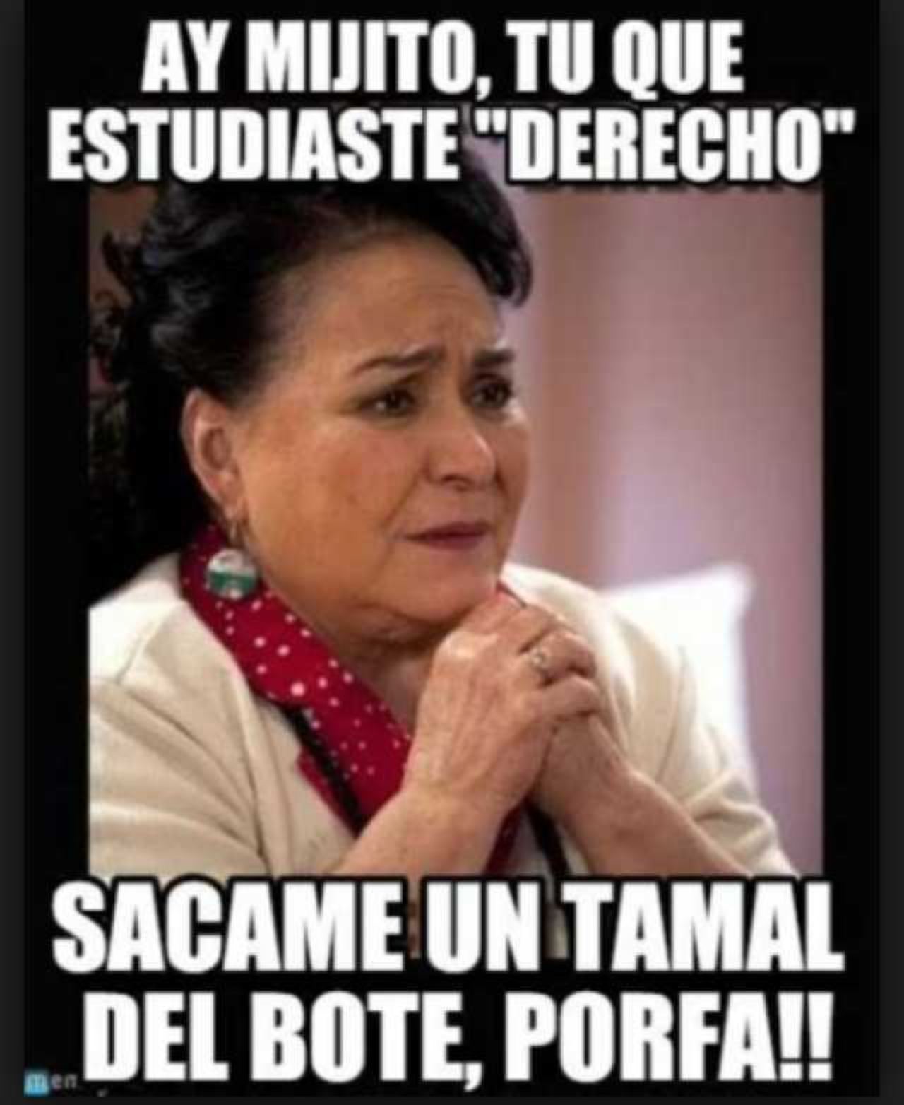 meme mijito tu que estudiaste derecho bote