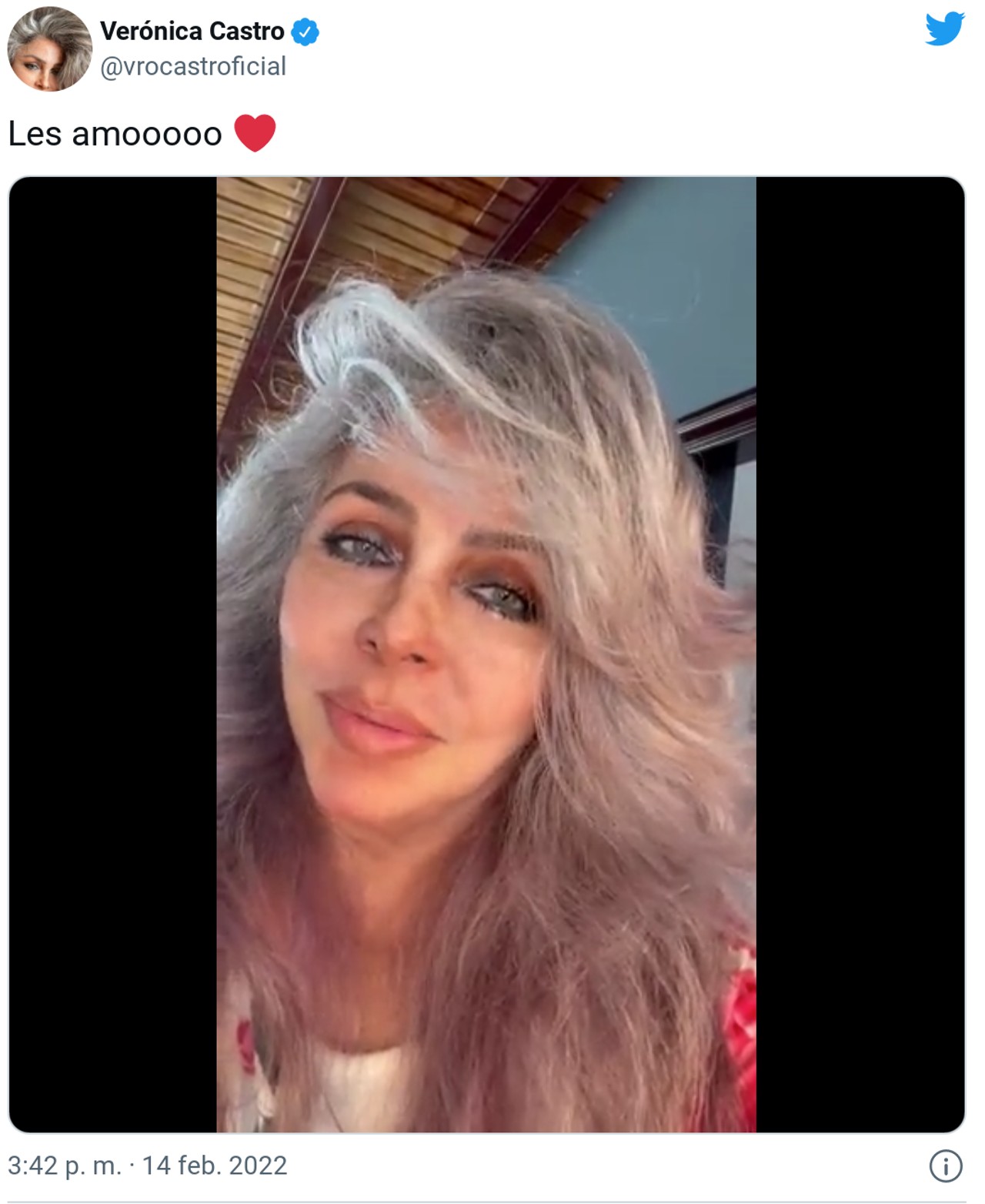 twitter veronica castro video
