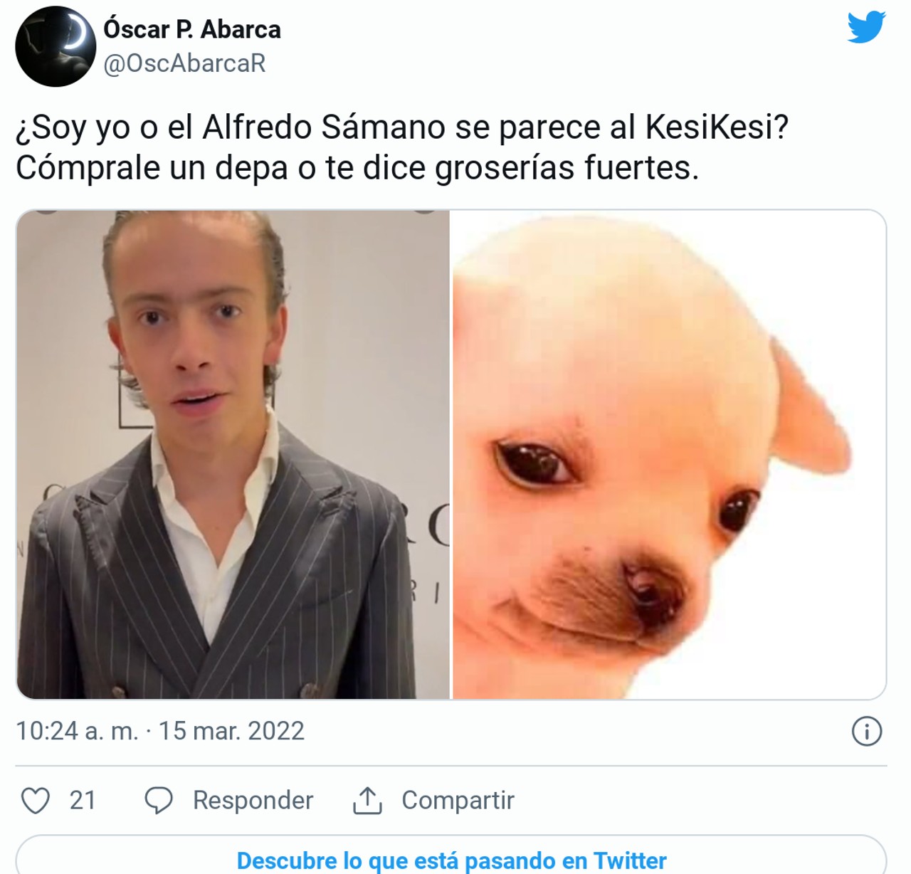 memes alfredo samano perrito
