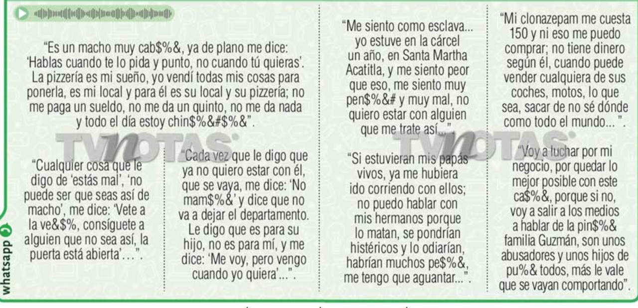 tv notas audios nuera silvia pinal