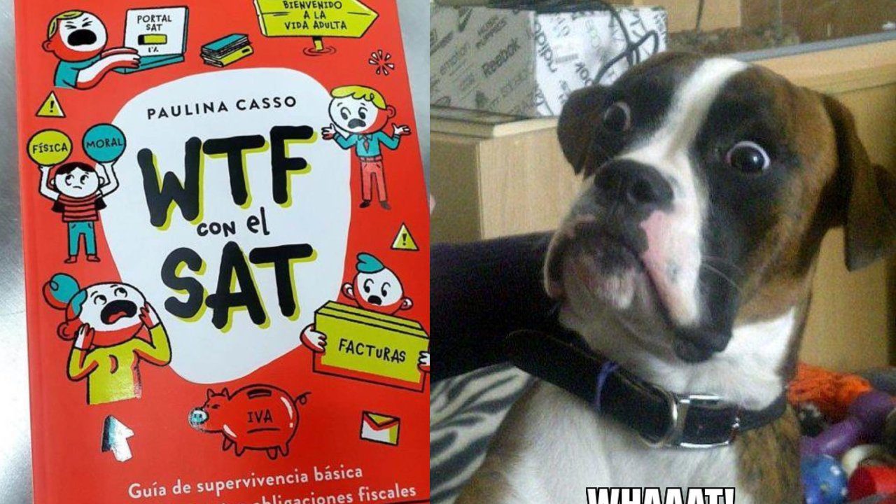 libro sat