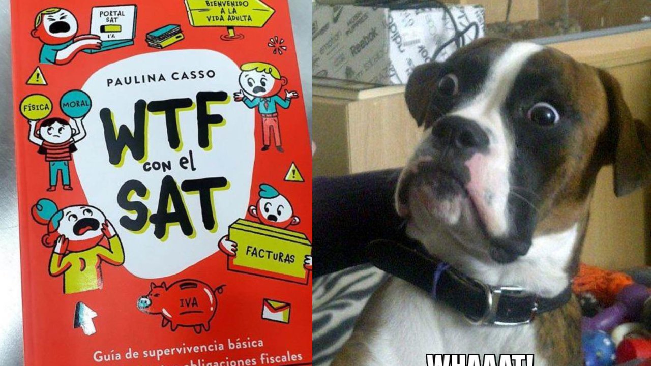 libro sat