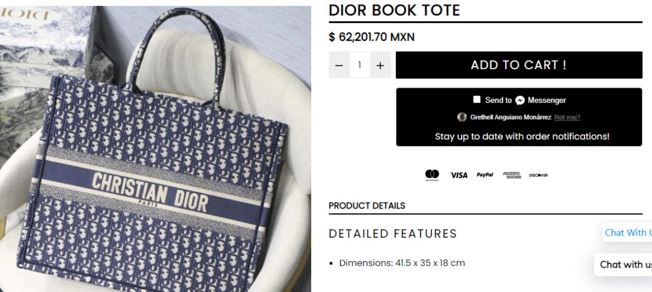 dior bolso