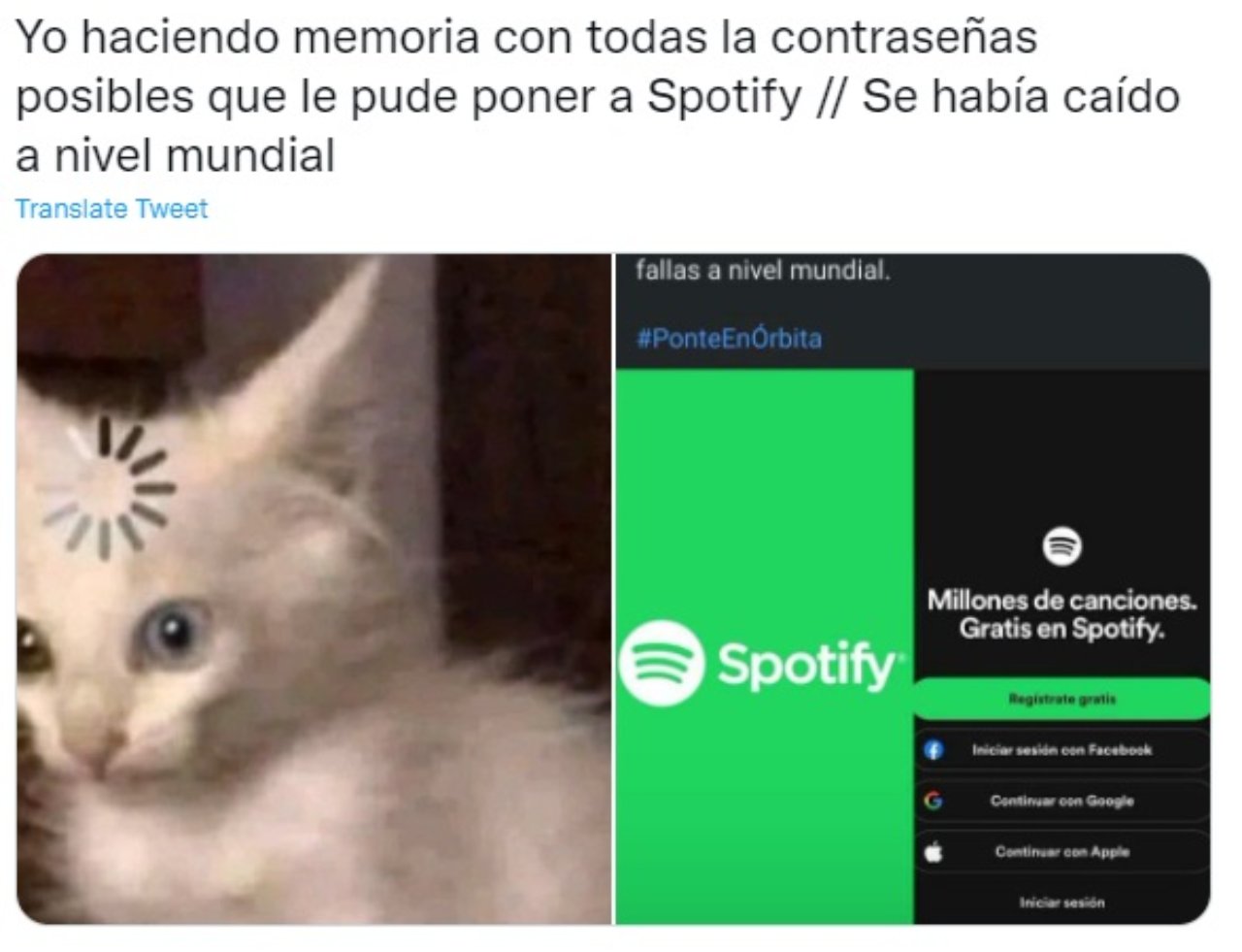 meme Spotify