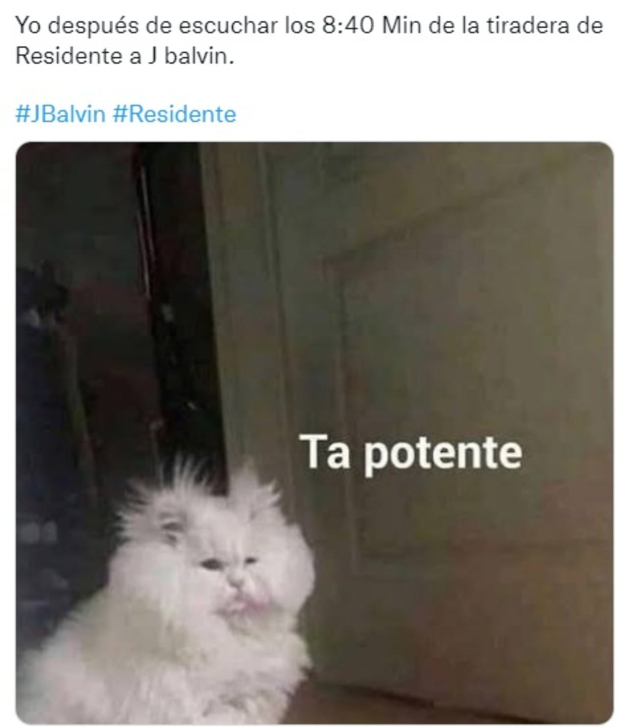 meme gato despeinado ta potente