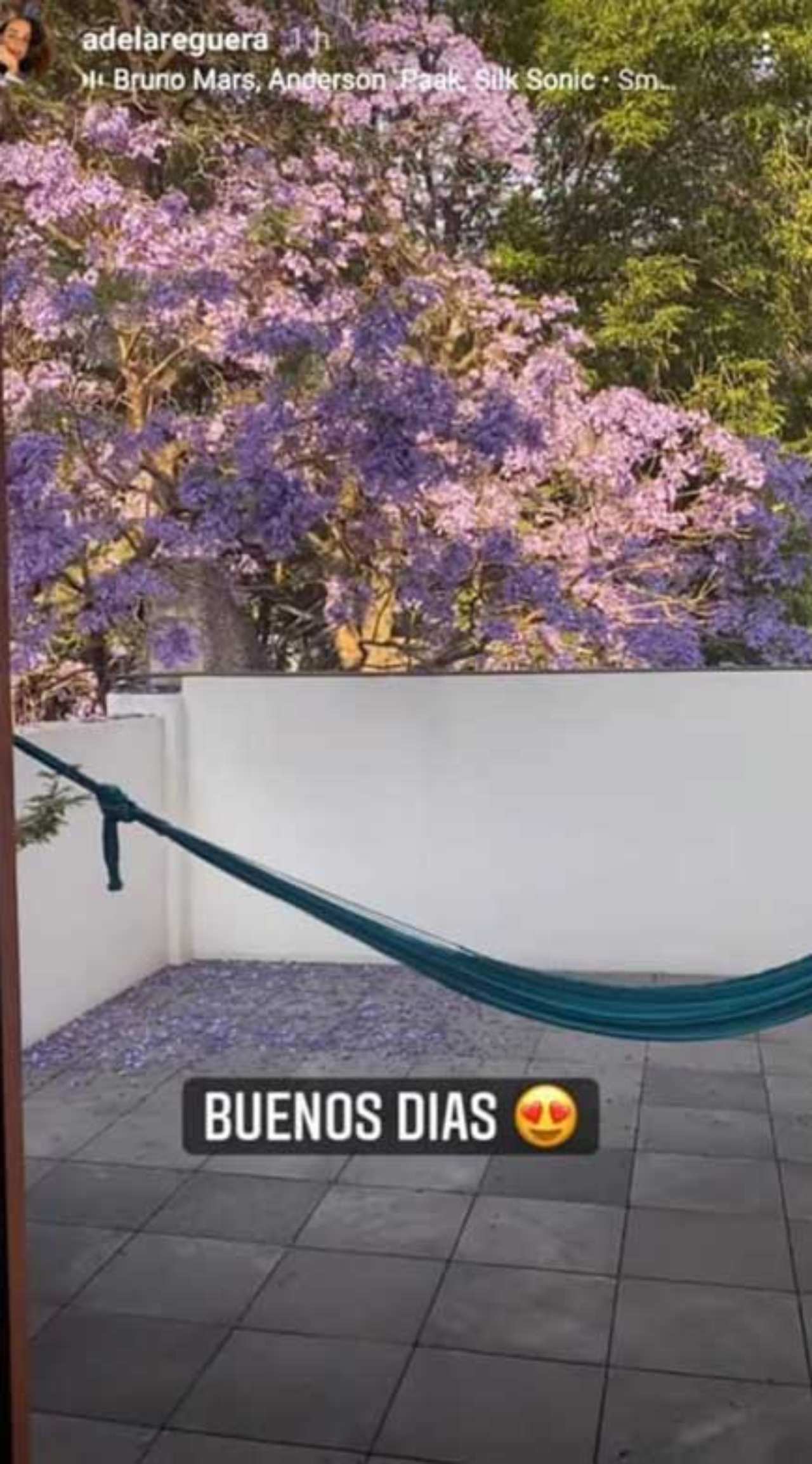 Ana de la Reguera Poncho Herrera