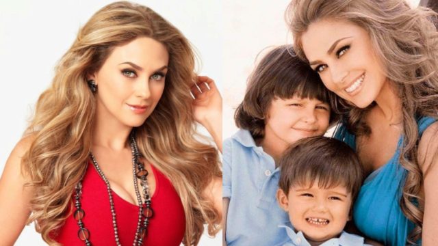 Aracely Arambula fiesta hijo xv anos