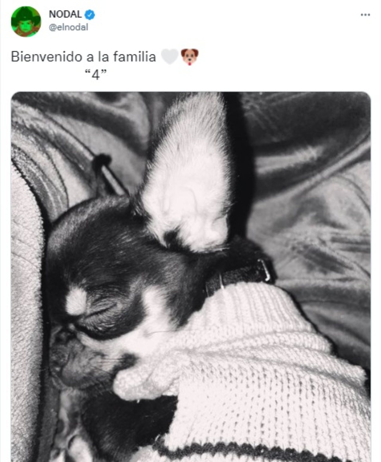 Belinda Nodal tuvieron hijo llamado cuatro