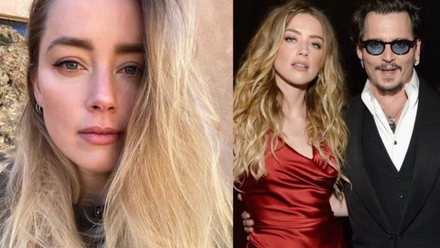 amber heard amor depp