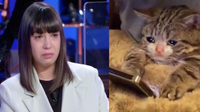 mama rechaza su hija lesbiana
