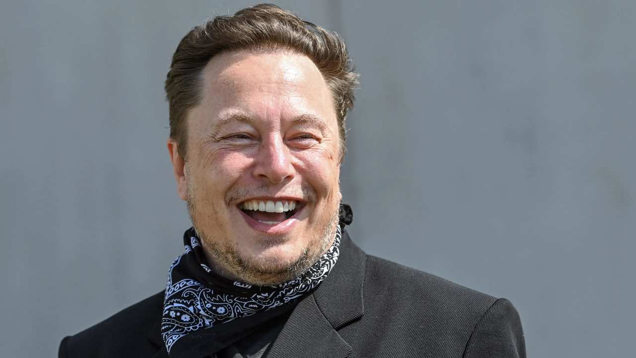 Elon Musk Amber Heard