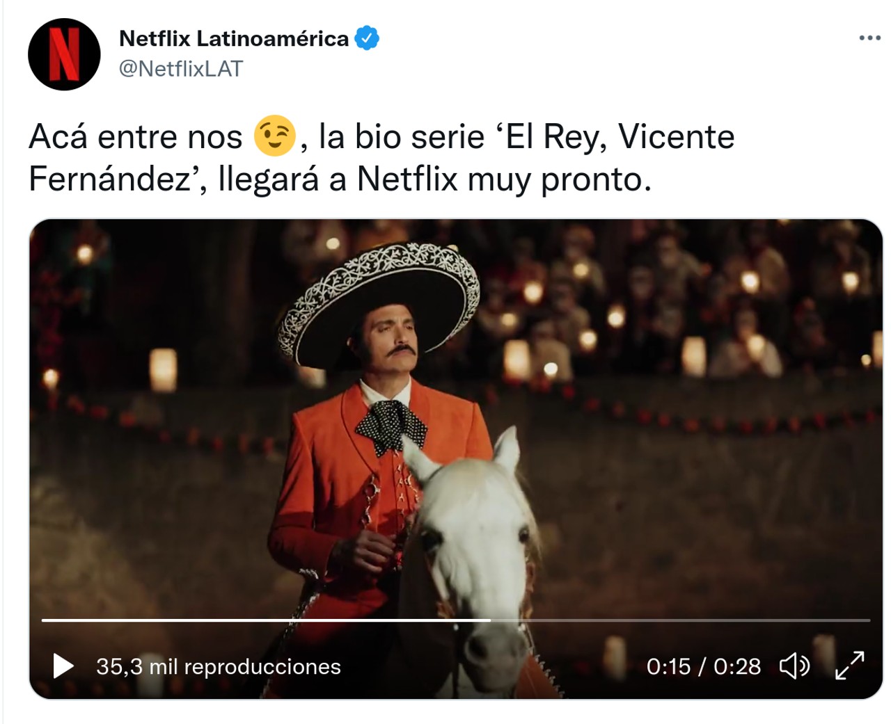 twitter vicente fernandez serie