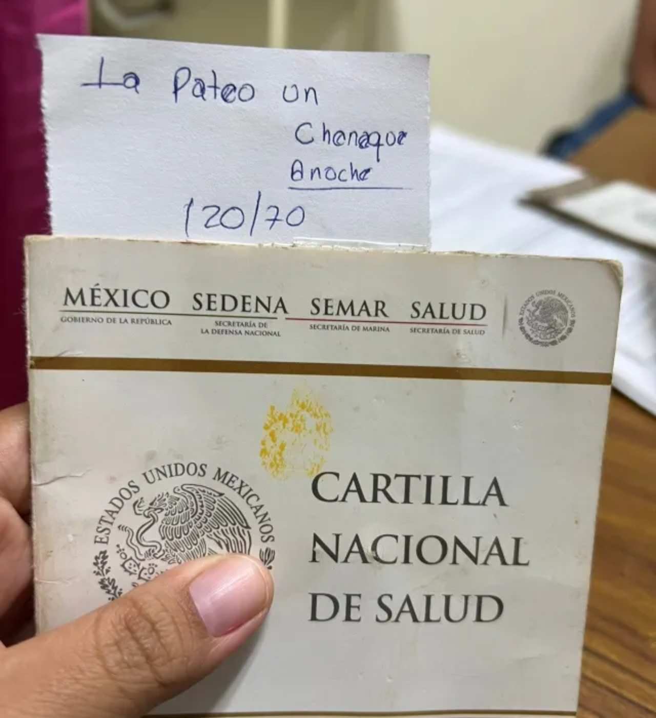 cartilla chaneque