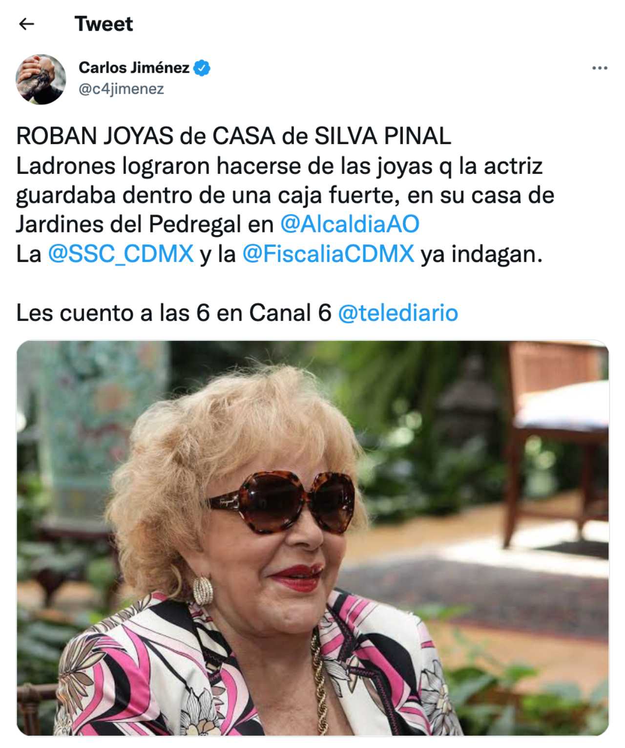 Silvia Pinal sufre asalto en su casa del Pedregal