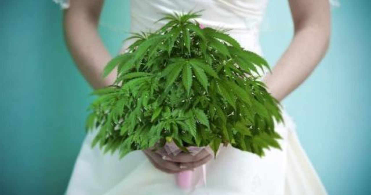 marihuana